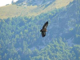 Hostal Pension Txiki