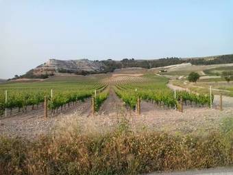 Alojamiento Rural Pueblo De La Ribera
