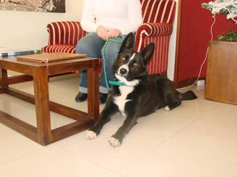 Hotel Buf�n De Arenillas