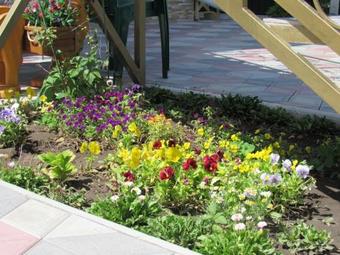 Apartamento Mini-pansionat Mirazh