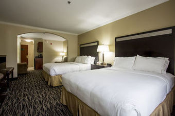 Holiday Inn Express Hotel & Suites Camden-i20 (hwy 521)