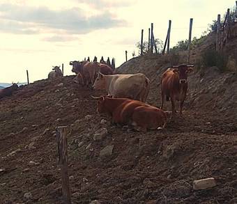 Agroturismo La Valle Dei Fiori
