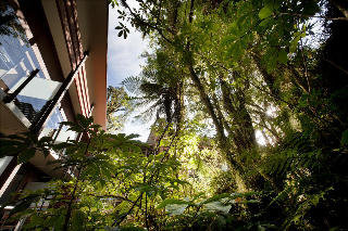 Hotel Te Waonui Forest Retreat