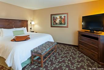 Hotel Hampton Inn & Suites Fairbanks