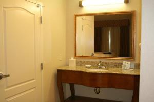 Hotel Hampton Inn Suites Lodi