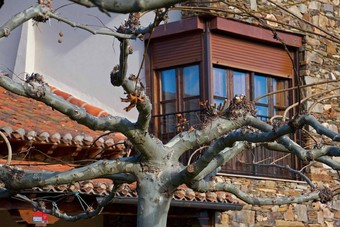 Hotel Valle Del Eria