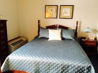 Hotel The Afton House Inn