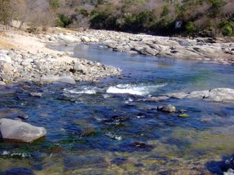 Lodge Caba�as 4 Estaciones