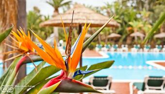 Hotel Baia Delle Palme