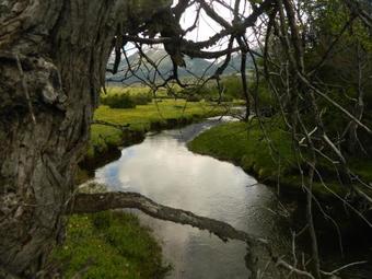 Lodge Valle Del Carrileufu