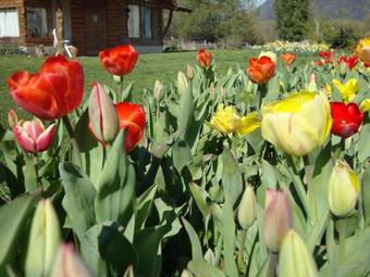 Lodge Caba�as Valle Del Pirque