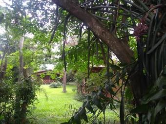 Posada De Los Arboles