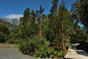 Hostal Chucao Bosque Y Caba�as