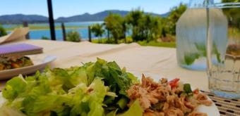 Caba�a En Lago Colbun