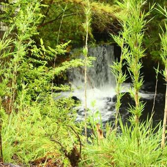 El Rincon De La Olguita