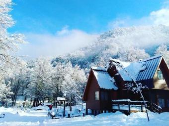 Lodge Caba�as Faldas Del Lonquimay