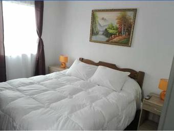 Apartamento Caba�a Nahu�n Curacaut�n