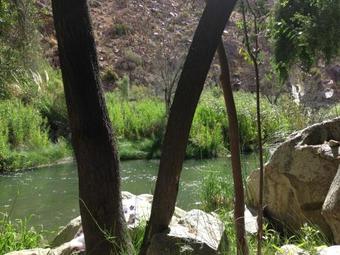 Lodge Caba�as El Albaricoque Cochiguaz