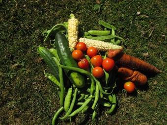 Agroturismo Futaleufu