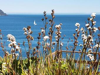 Lodge Cabanas Fischer Spa