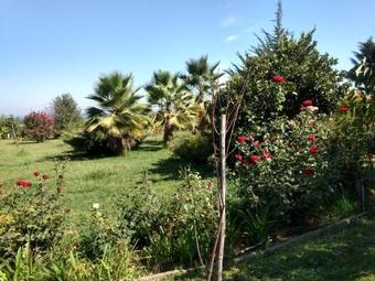 Agroturismo Parcela De Descanso Paine/escorial