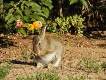Agradable Casa En Condominio Prados Del Mar Tongoy