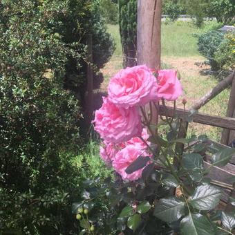 Bed & Breakfast Casa Ral�n