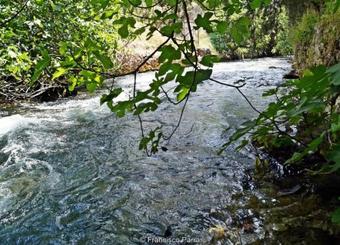 Apartment Barriada Estaci�n