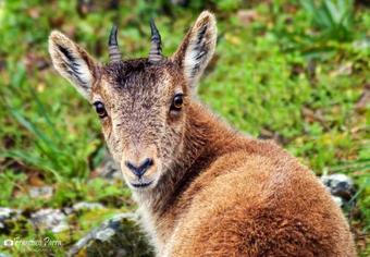 Casa Rural Los Cipreses
