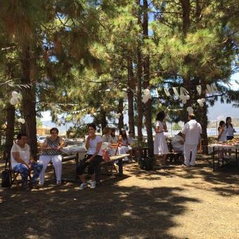 Group House La Palma