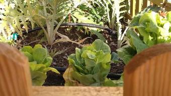 Hostal Kerkus Hostel