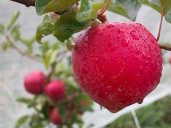 Agroturismo Casa Rural L'era D'en Bella