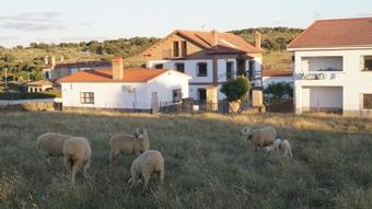 Apartamentos Estrellas De Monfrag�e