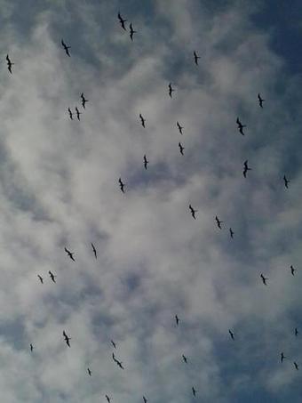 Altavista Casa De Huespedes