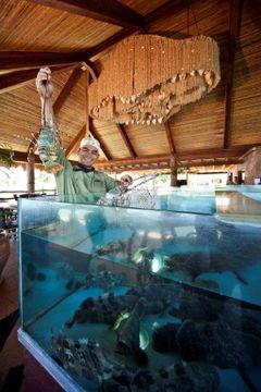 Hotel Maribago Blue Water