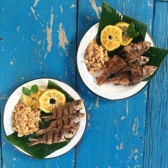 Albergue Casa Cielito