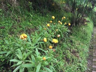 Posada Hospedaje En La Chorrera