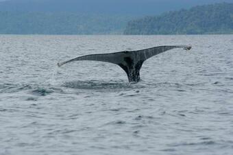 Posada Mama Orbe Family Eco Farm