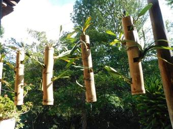 Agroturismo Eco Casa Raices