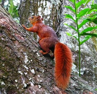 Posada Parag�itas Hostel