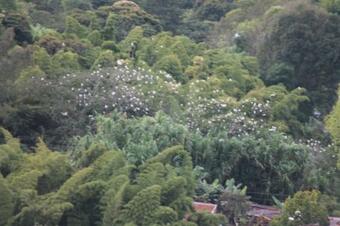 Hotel Campestre Milagros