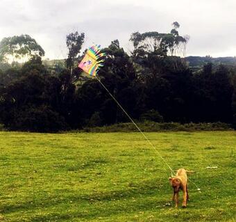 Albergue Casa Campeche