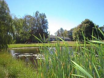 Eden Village Motel And Cottages