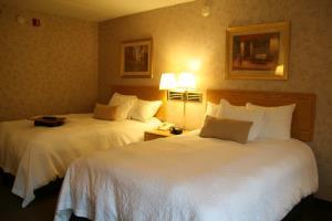 Hotel Hampton Inn Syracuse-north