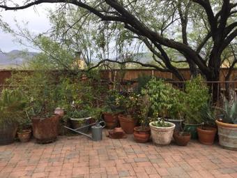 Spur Cross Bed And Breakfast Inn