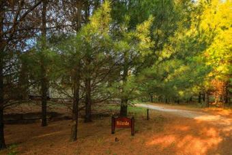 Bed & Breakfast Hawk Valley Retreat & Cottages