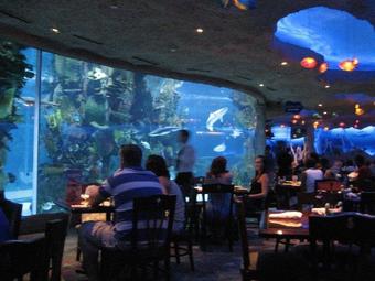 Hotel Best Western Windsor Suites