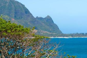 Apartamento Hale Luia Bungalow Tvnc #4339