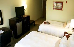 Hotel Hampton Inn Sulphur