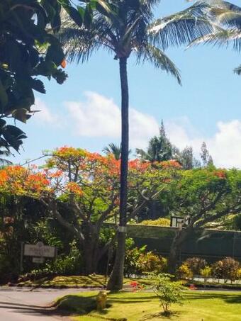 Apartamento Pohailani #133 Condo